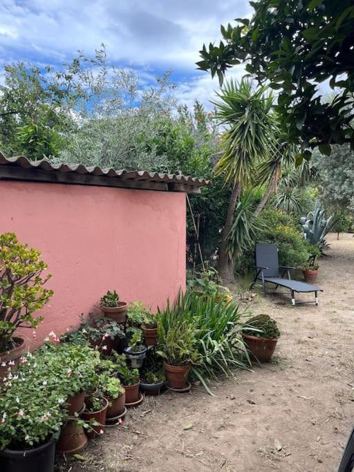 Maison de village vintage avec grand jardin Elne Extérieur photo