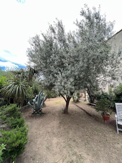 Maison de village vintage avec grand jardin Elne Extérieur photo